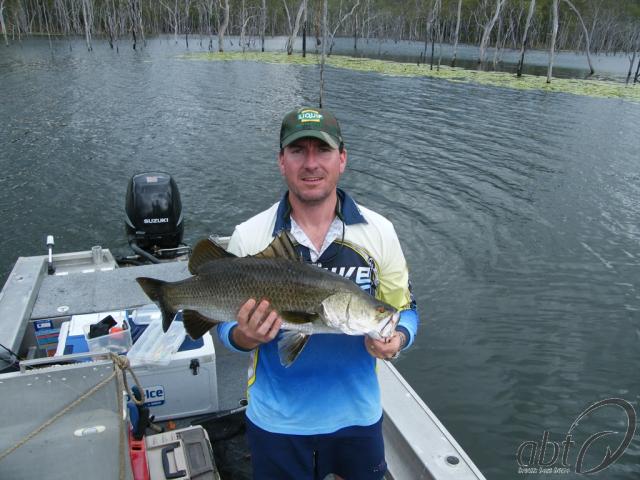 Teemburra champion