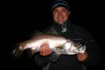 Classic Lures Teemburra Night Championship Pics